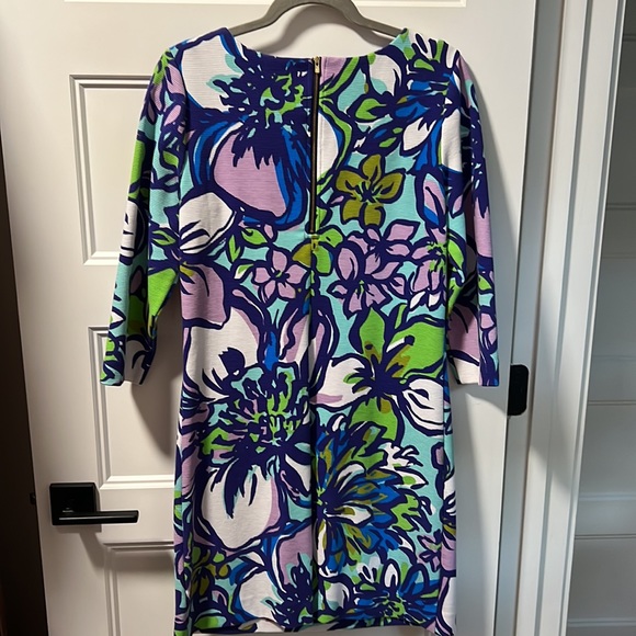 Lilly Pulitzer dress - Picture 5 of 6